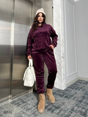 Женский велюровый костюм 42169 бордовый